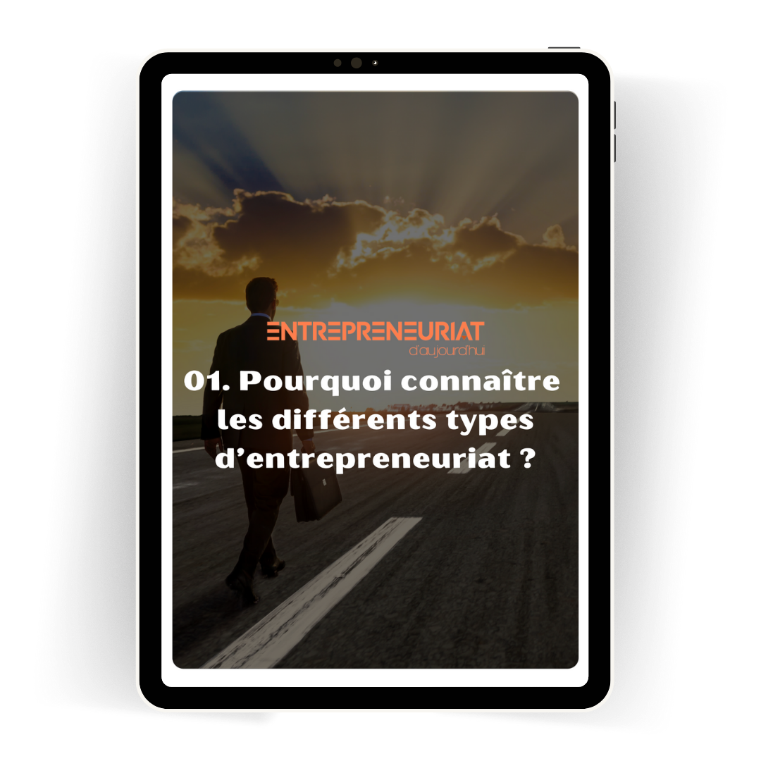 les types d'entrepreneuriat